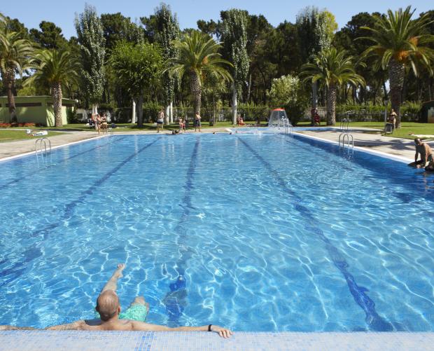 Pool with palm trees at Camping Valldaro