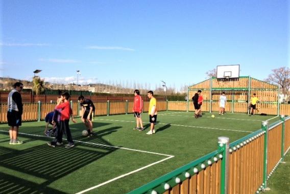 Sports court for young children